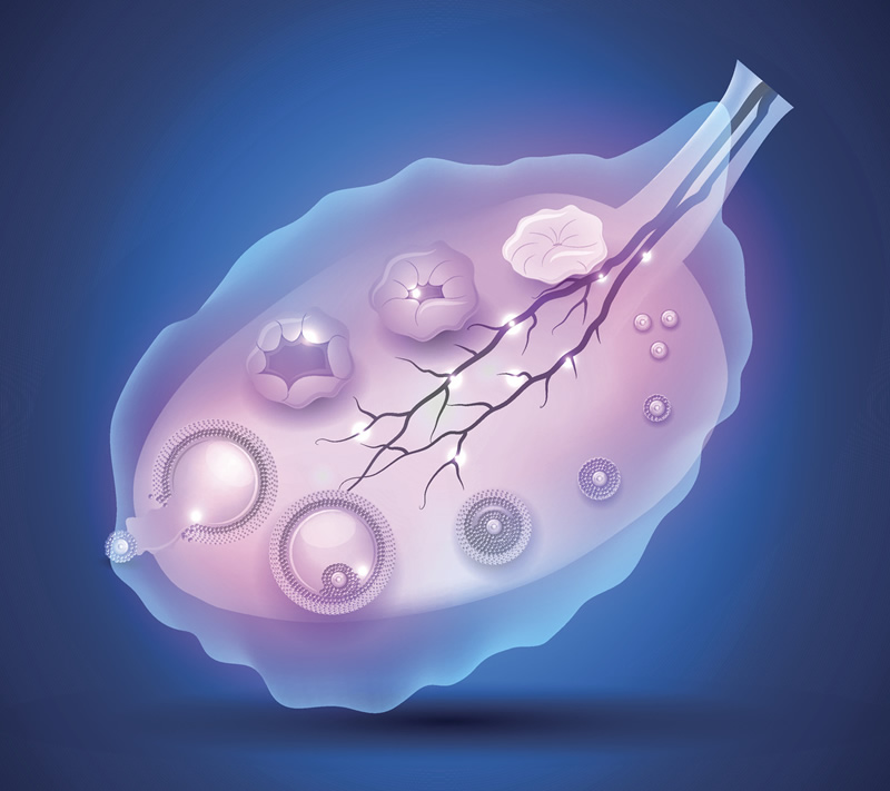 2026年南宁遗传病三代试管医院与费用指南：广西医科大一附院、区妇幼等机构解析，附详细项目价格参考